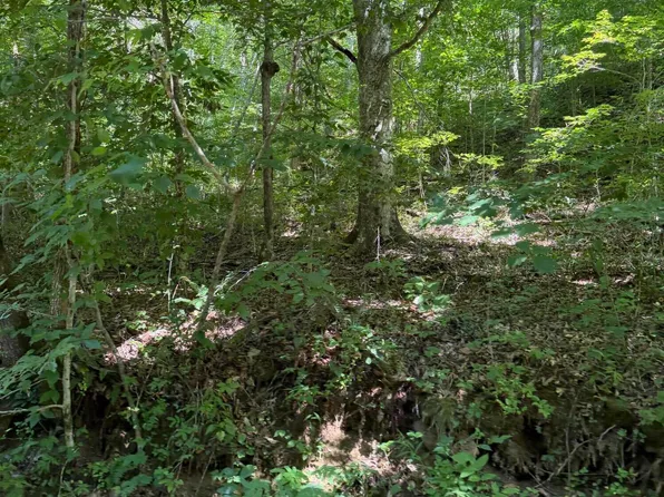 370 Roaring Fork Rd, Walker, KY 40997
