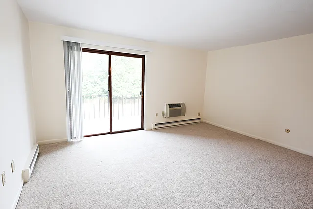 65 Elmwood Park #3 — Photo 11