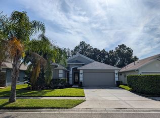 1048 Rosefaire Pl, Odessa, FL 33556