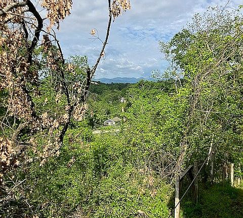 Easy access to the freeway.