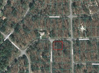 0 Guava Pass #8, Ocklawaha, FL 32179