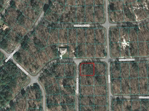 0 Guava Pass #8, Ocklawaha, FL 32179