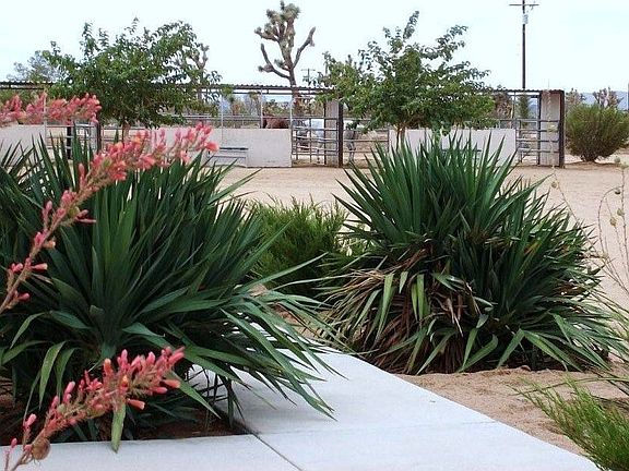 Enjoy the gardens located close to the Horse corrals