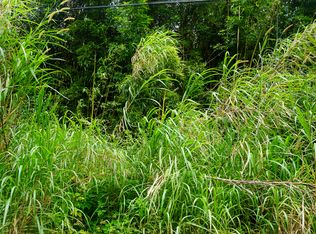 Kapiolani St Lot 341, Pahoa, HI 96778