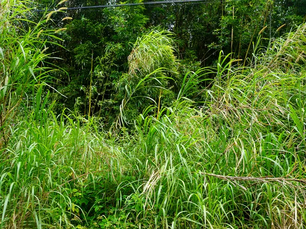 Kapiolani St Lot 341, Pahoa, HI 96778