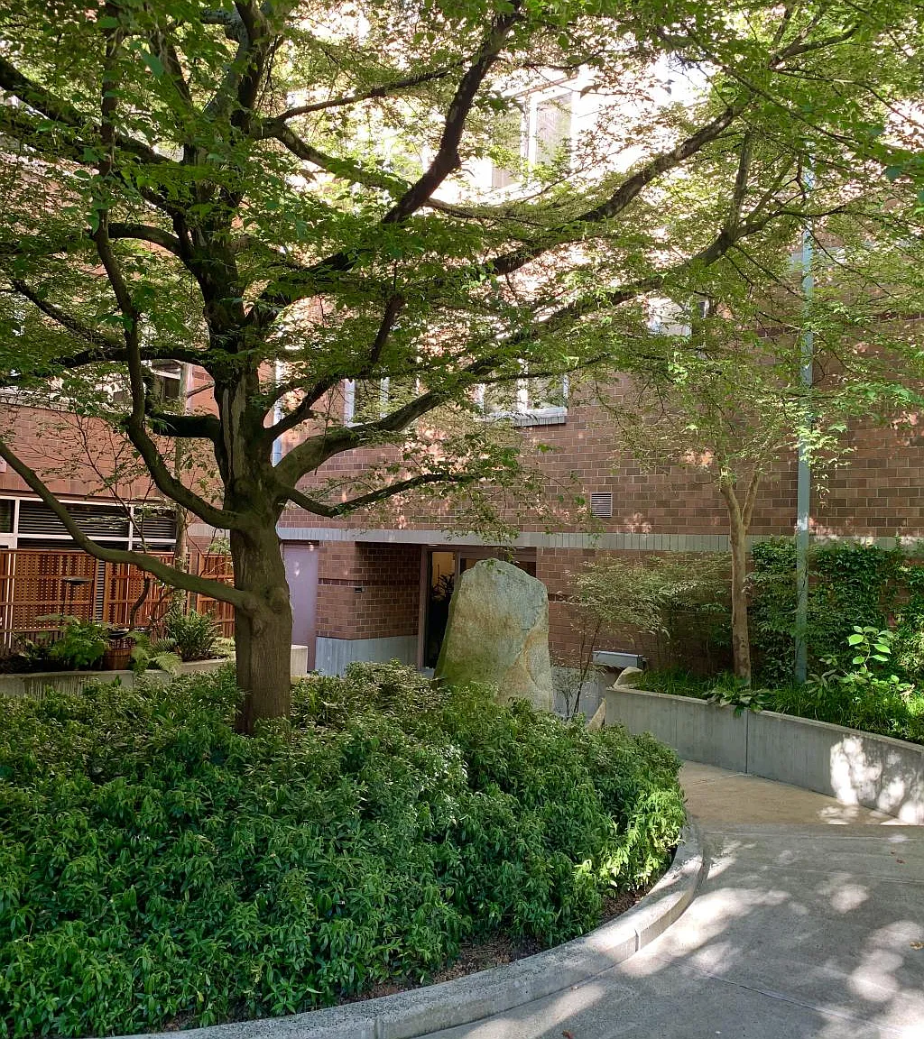 Willis Condos - 1 bedroom — Photo 3
