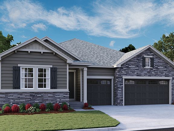 The Darius - Elevation D