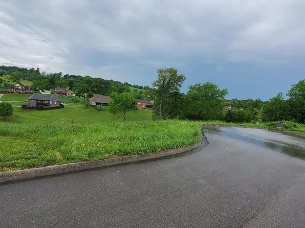 2329 Louisiana Ct, Seymour, TN 37865