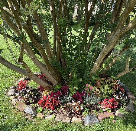Backyard landscaping.