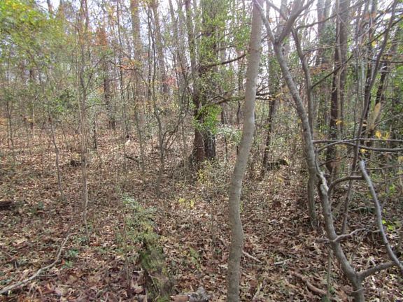5th image of LOT 10 River Oaks Dr