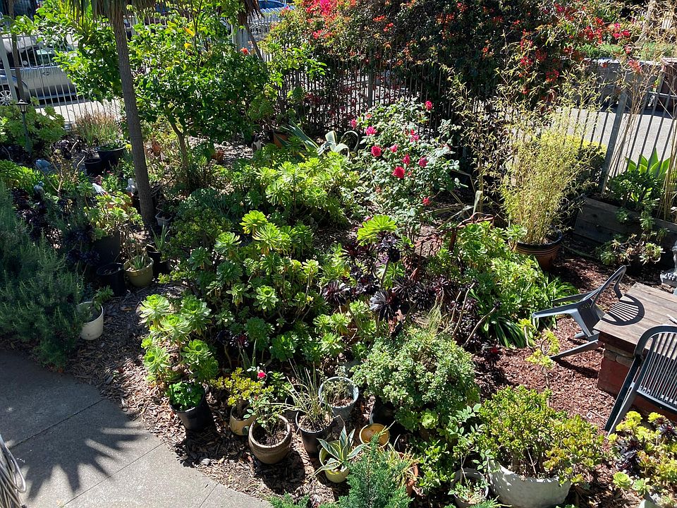 Side Yard