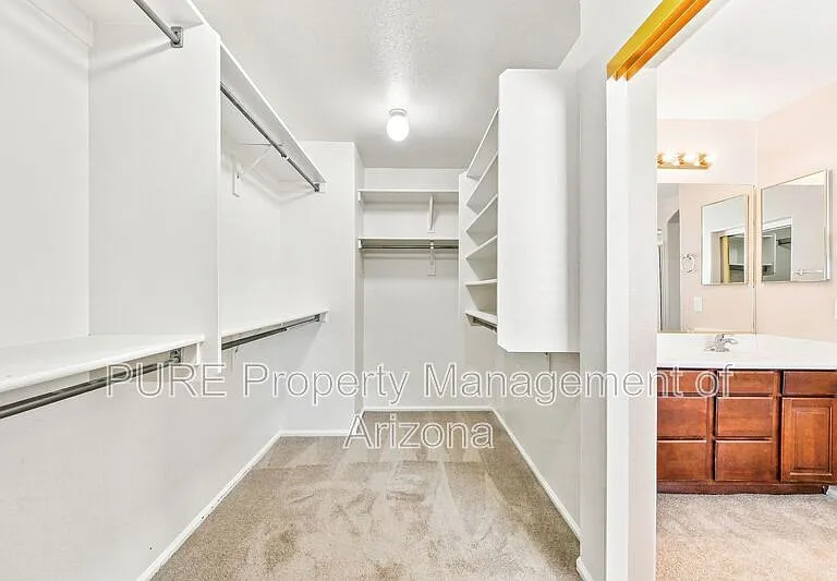 29785 N Blackfoot Daisy Dr — Photo 14