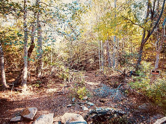 4th image of Adventure Trl