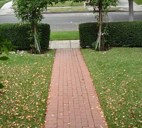 Front Walk