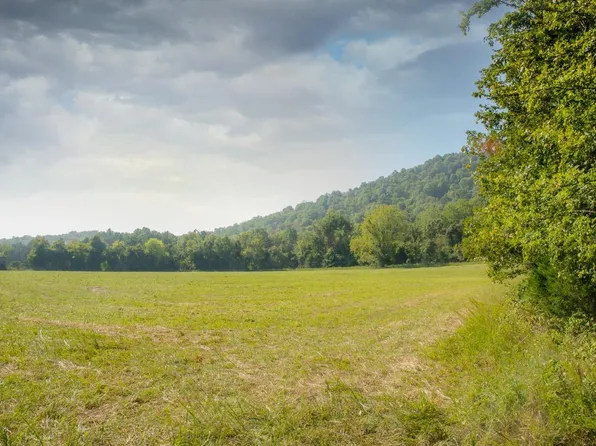 11195 Push Mountain Rd, Calico Rock, AR 72519