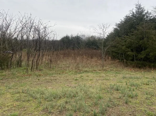 Lot 32 Emerald Beach, Golden, MO 65658