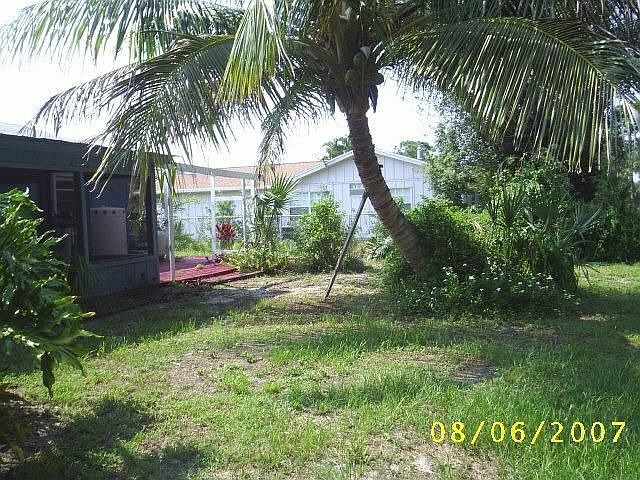 Back Yard and Side w/ Palm