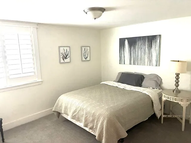 Basement bedroom, Queen bed