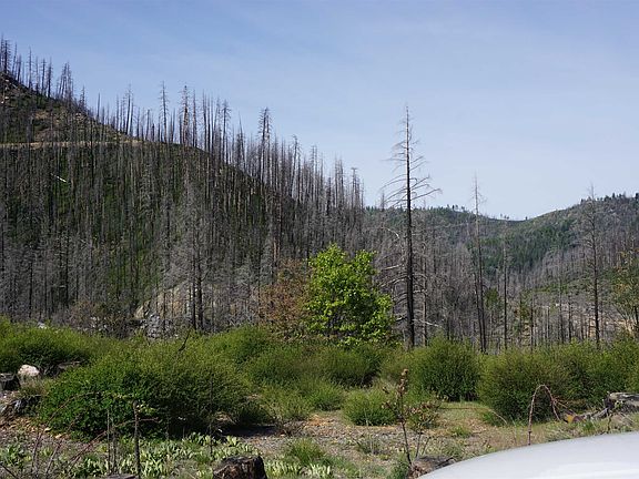 5th image of 11216 Highway 89