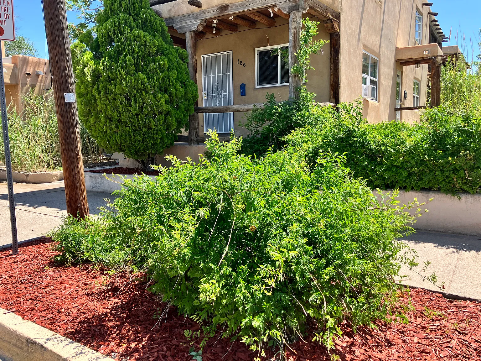 Studio, 525 sqft, $950 — Photo 2
