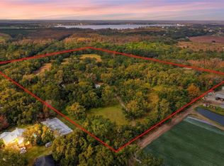 12454 Browns Berry Rd, Dover, FL 33527