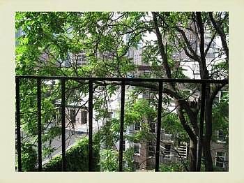 5th image of 406 W 47th St