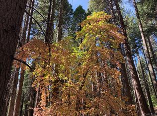 2826 Shoshone Dr, Camp Connell, CA 95223