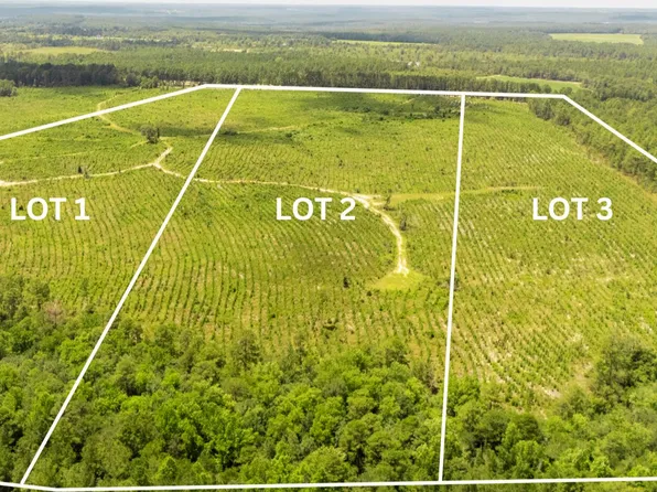 LOT 1 Three Notch Rd, Monetta, SC 29105