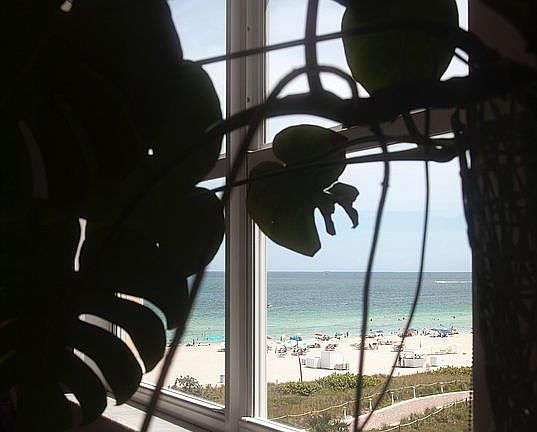 5th image of 401 Ocean Dr APT 611