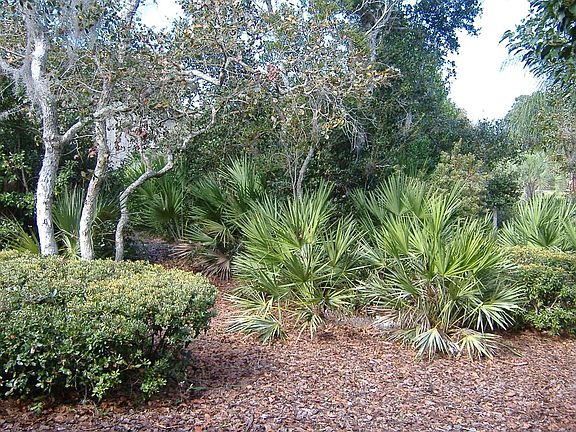 5th image of 826 Sawgrass Ln