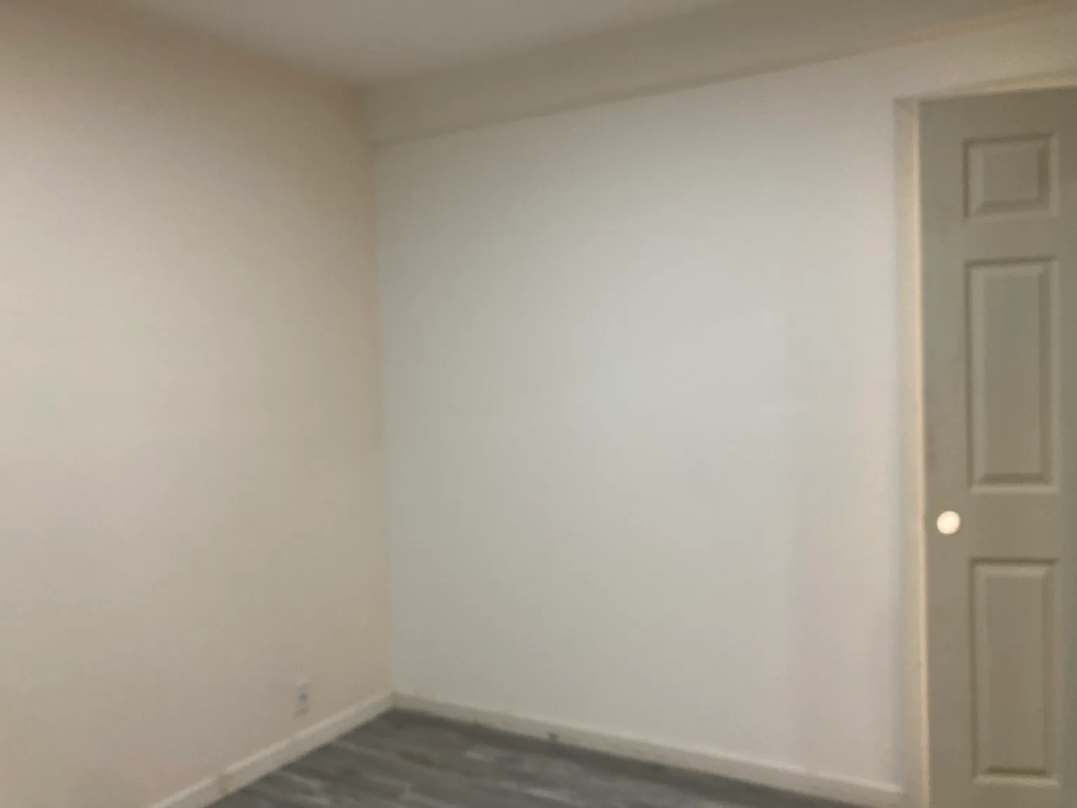 1 bed, 375 sqft, $1,500 — Photo 3