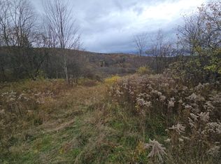 1233 Route 221, Marathon, NY 13803