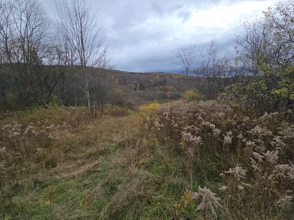 1233 Route 221, Marathon, NY 13803