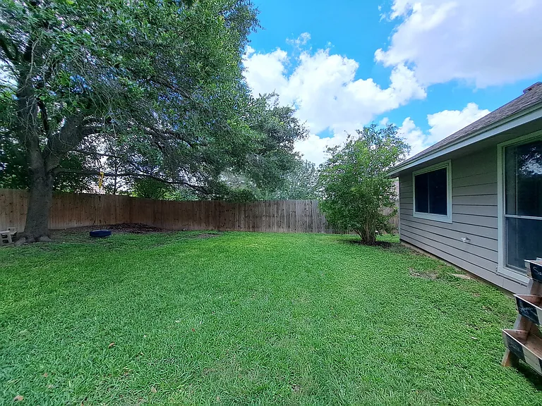 7706 Forest Rain — Photo 43