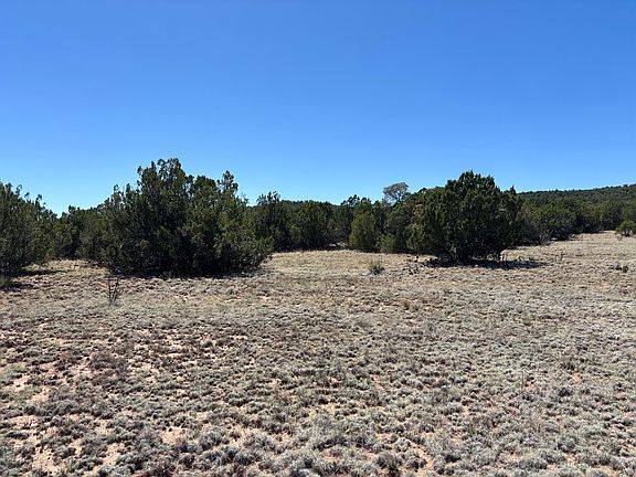 4th image of Dos Lunas