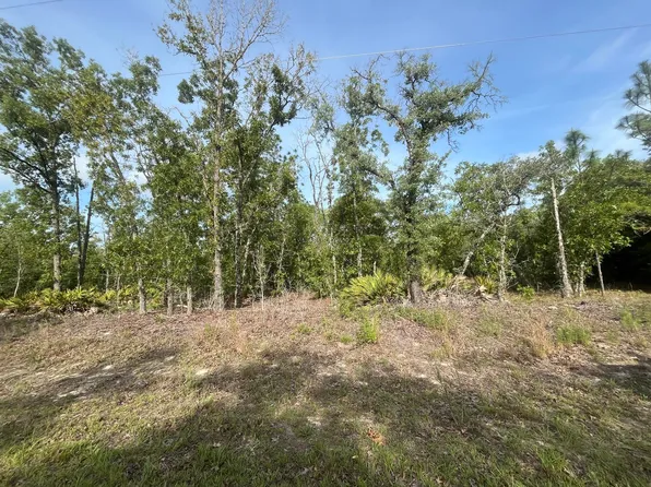 1321 W Delores Drive, Citrus Springs, FL 34434