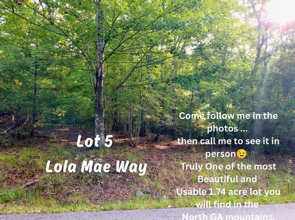 LOT 5 Lola Mae Way, Morganton, GA 30560