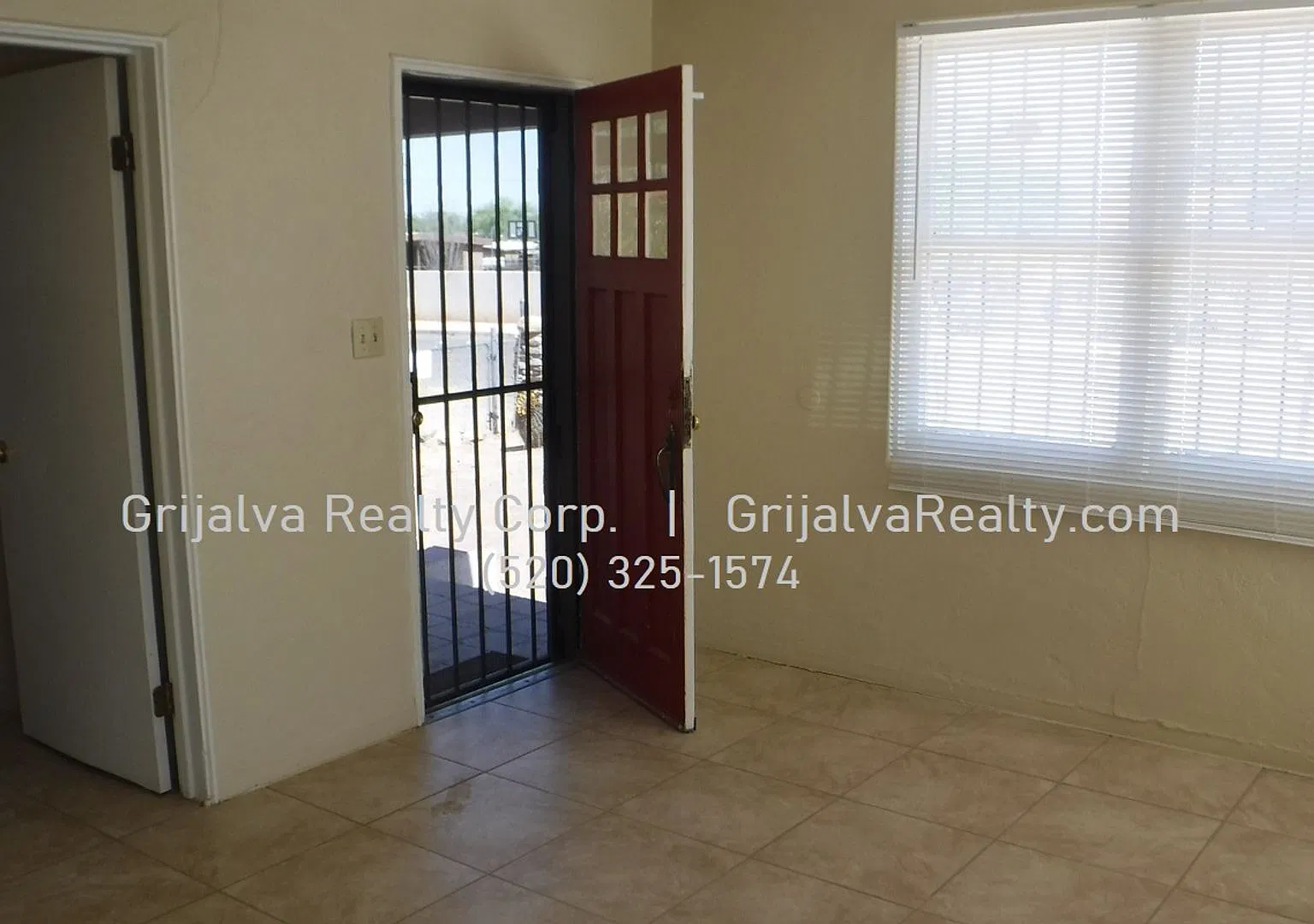 401palm — Photo 2