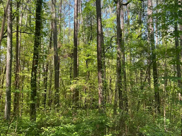 1 Shoreland Cir, Scottsboro, AL 35769