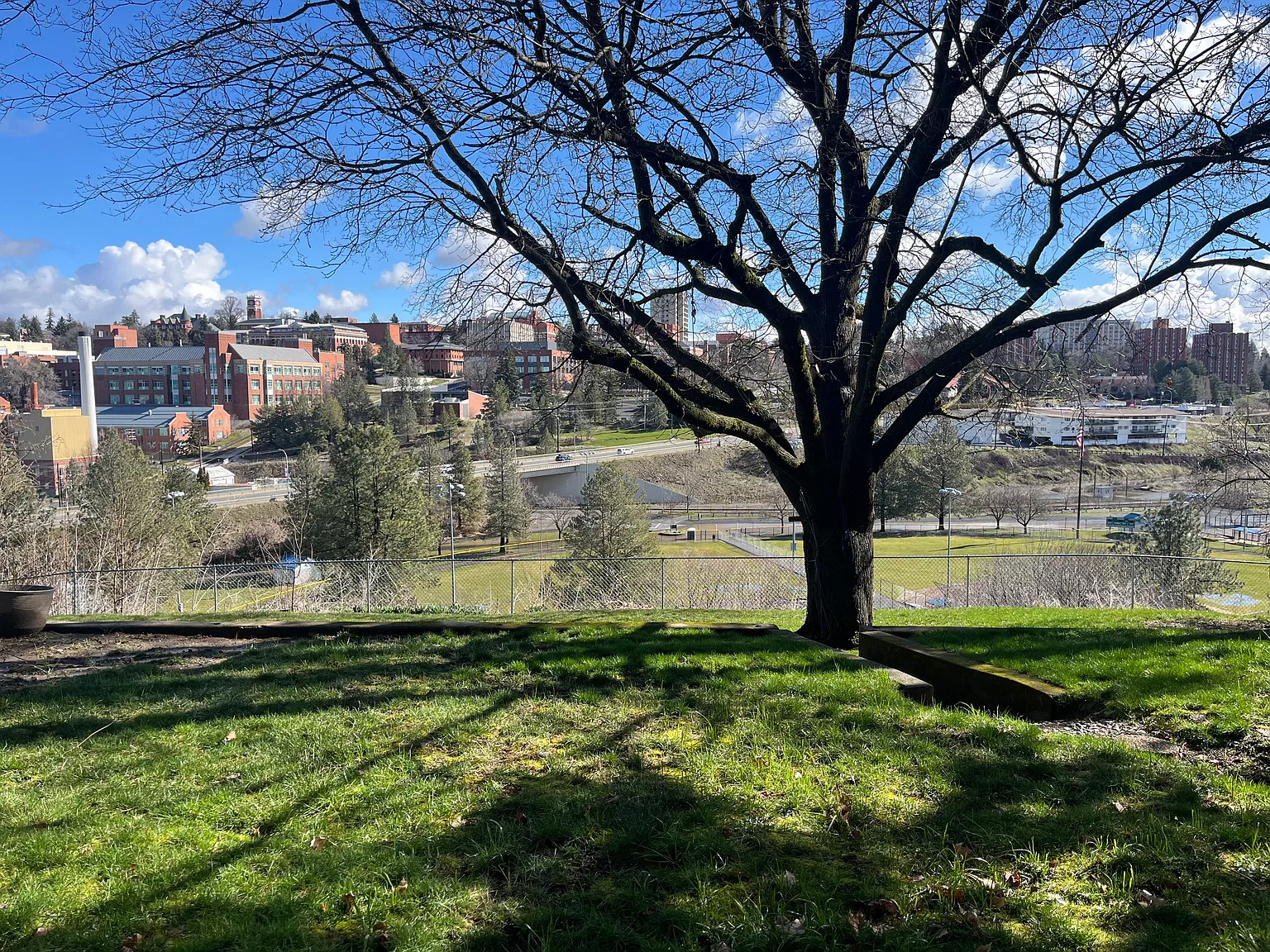 2 bed, 1800 sqft, $1,800 — Photo 1