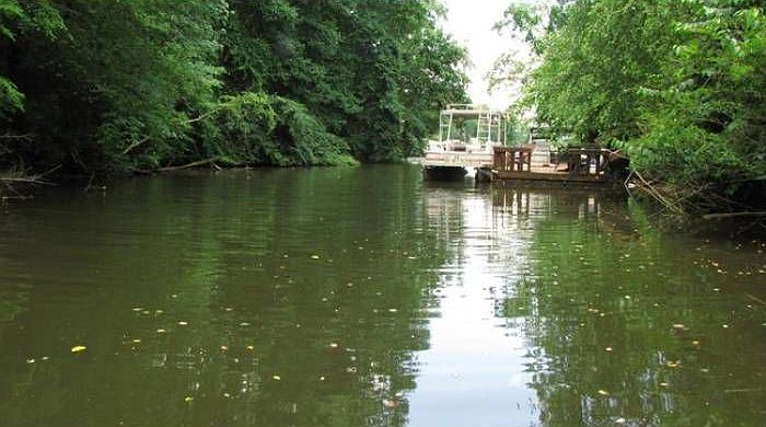 View from Dock