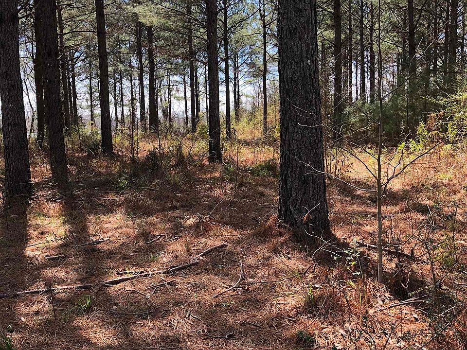 2nd image of 2043 Robinson Pond Rd #2043
