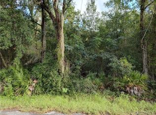 6869 W Van Buren Dr, Homosassa, FL 34448