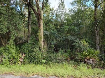 6869 W Van Buren Dr, Homosassa, FL, 34448