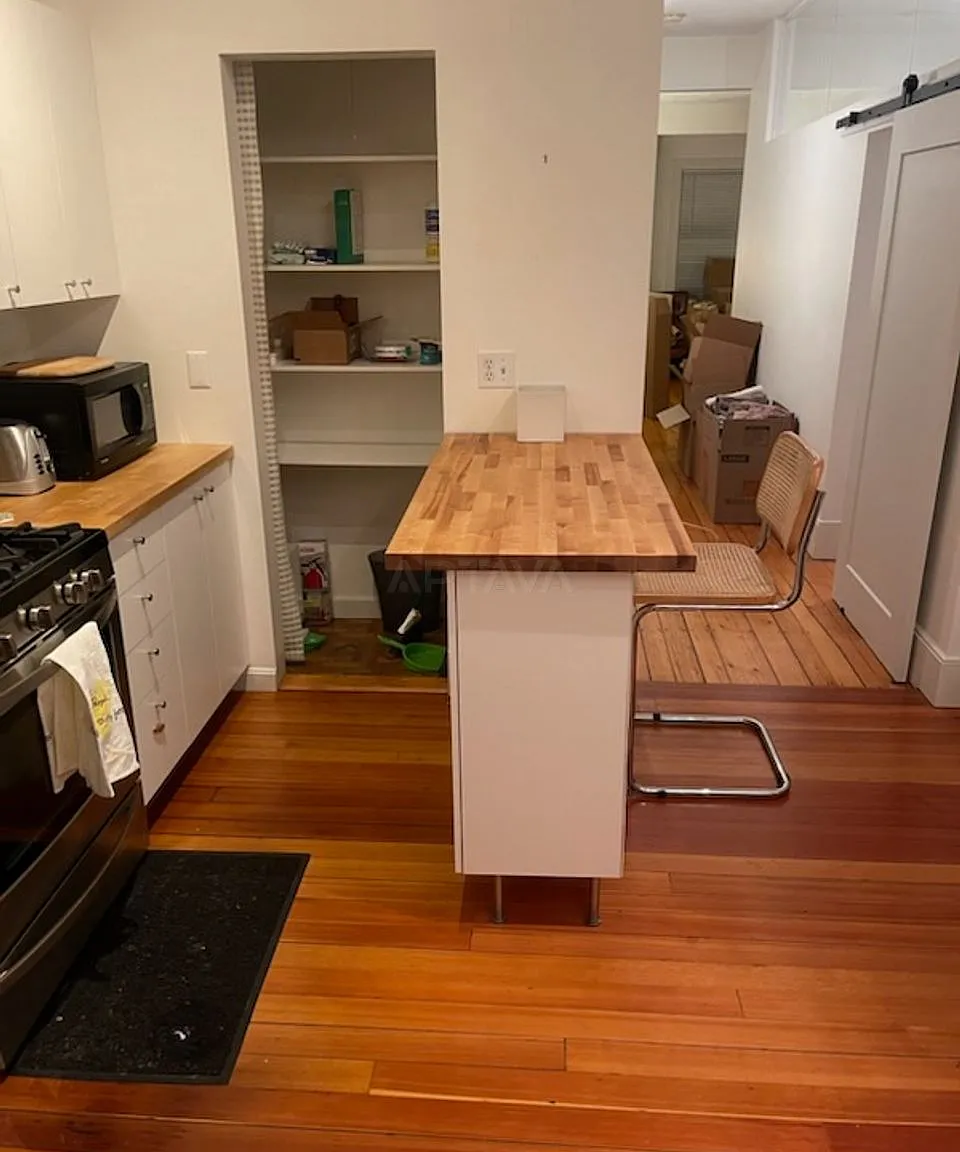 Cambridgeport / Central Square area, 2 bedroom, 1 bathroom apartment — Photo 4