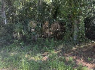 147 Doe Ln, Carrabelle, FL 32322