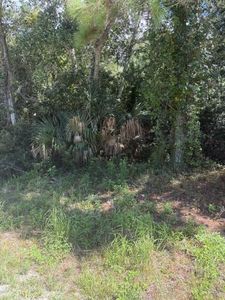 147 Doe Ln, Carrabelle, FL, 32322