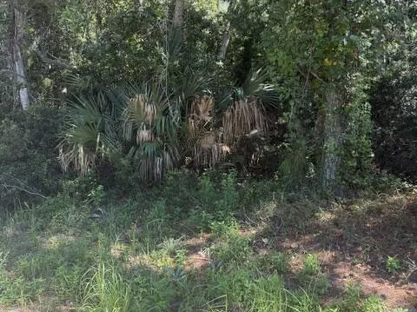 147 Doe Ln, Carrabelle, FL 32322