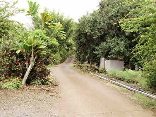 2nd image of Mamalahoa Hwy