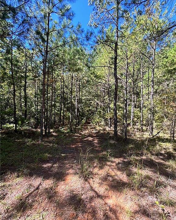 2nd image of 178 Whitetail Rd